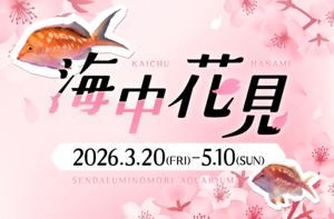 海中花見.png