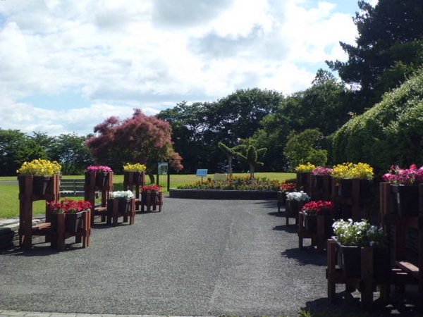 CIMG2770.JPGのサムネール画像