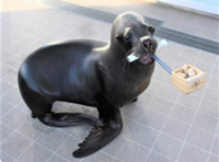 スクリーンショット (4).png