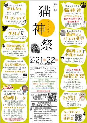 スクリーンショット (27).png