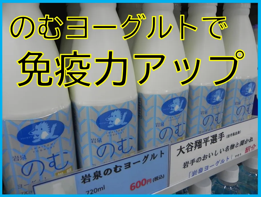 岩泉-変換元-png (1).webp