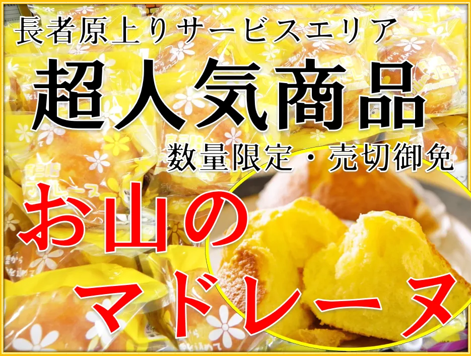 お山-変換元-png.webp