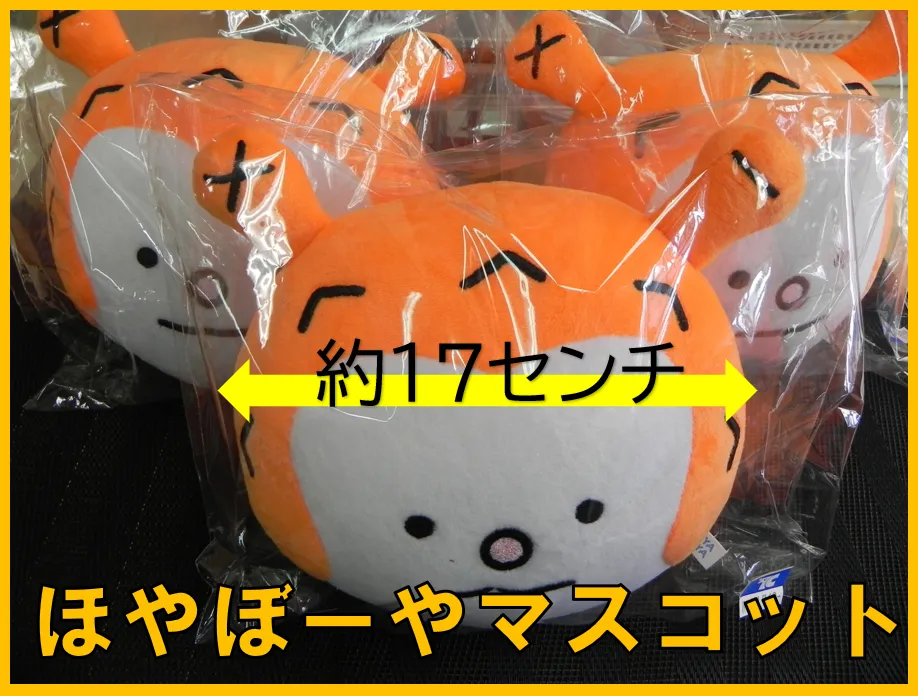 ほやぼーや-変換元-png.webp