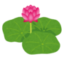 flower_hasu[1].png