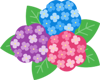 ajisai.png