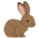 animal_usagi_nihon_nousagi.png