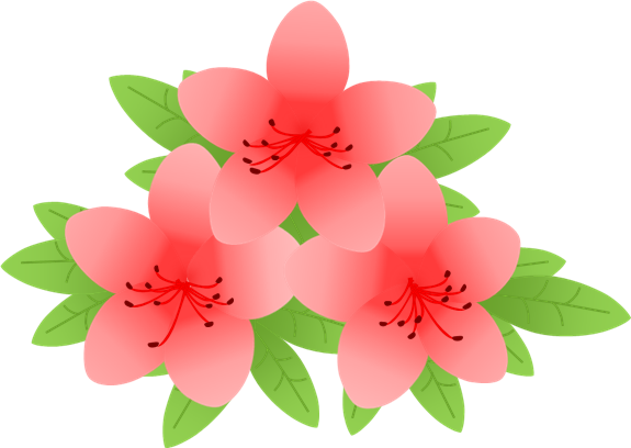 つつじ.png