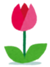 flower_tulip.png