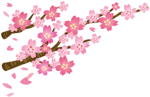 sakura_003.png