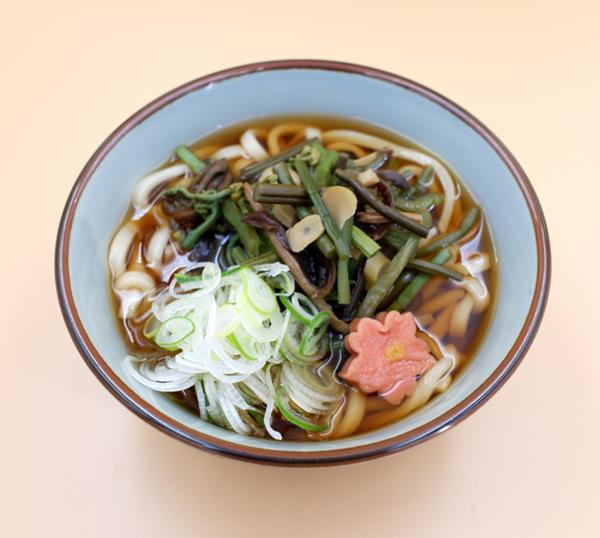 山菜うどん.JPG