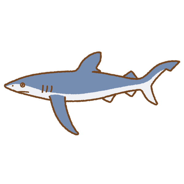 blue-shark.png