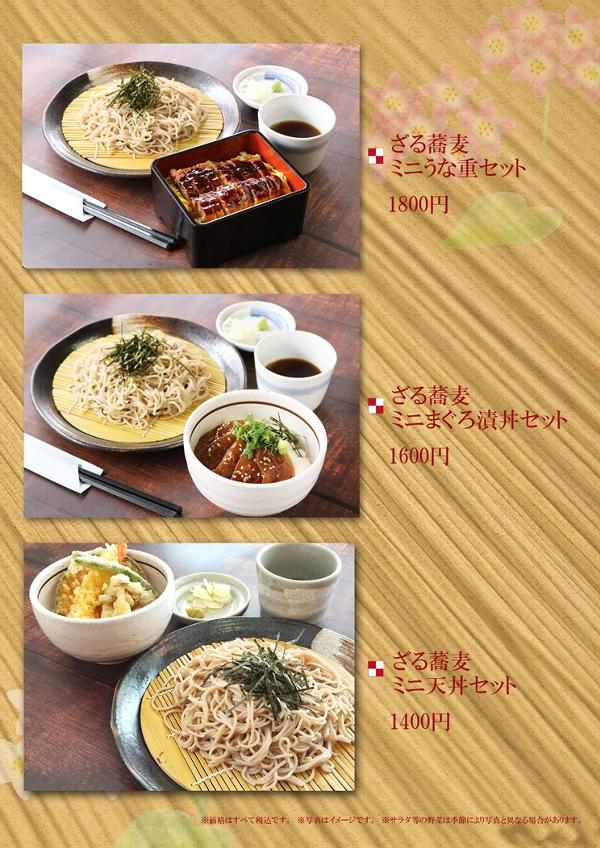ざるそばセットのページ のコピー.jpg