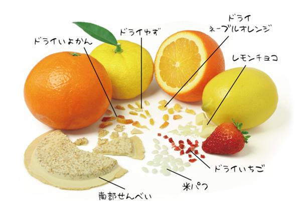 チョコ南部フルー津.jpg