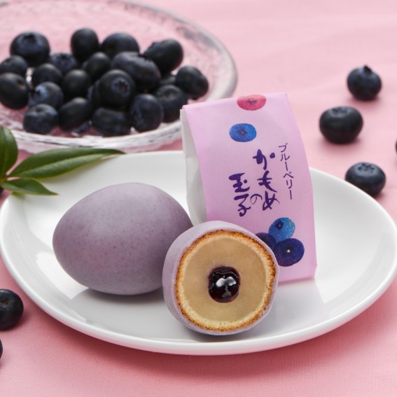 BlueberryKamome202301_1683955705018.jpg