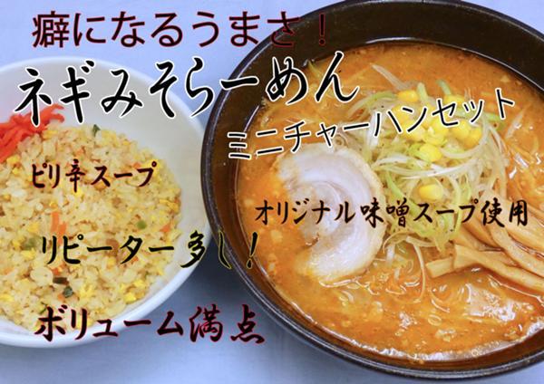 ネギみそラーメン卵無し 値段無し.jpg