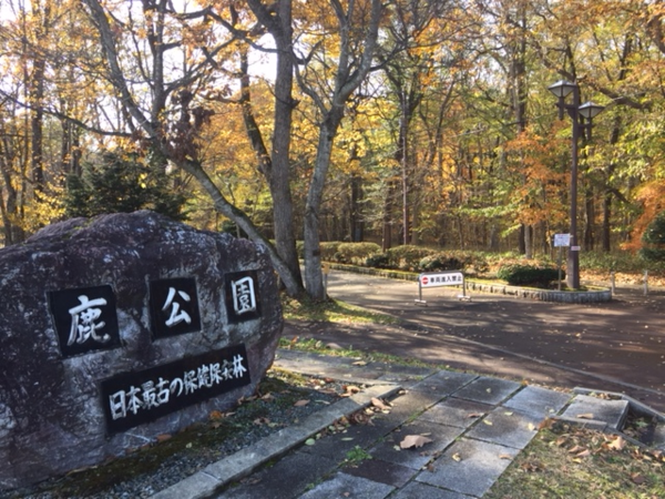 鹿公園.png