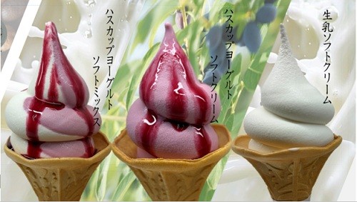 ソフト.jpg