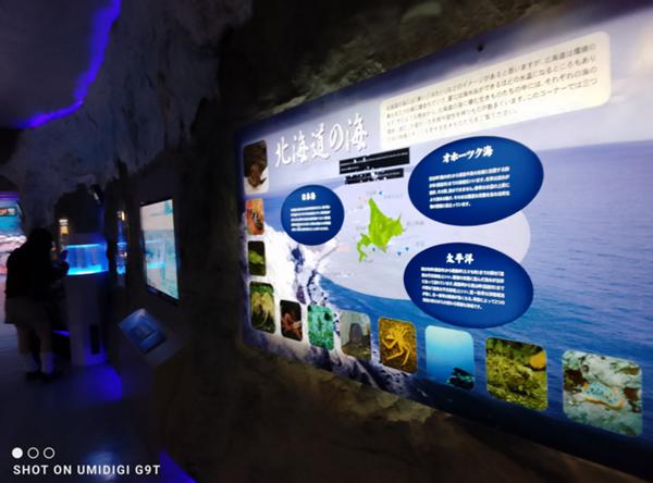 北海道.jpg