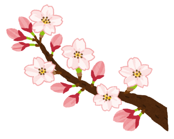 sakura_kaika[1].png
