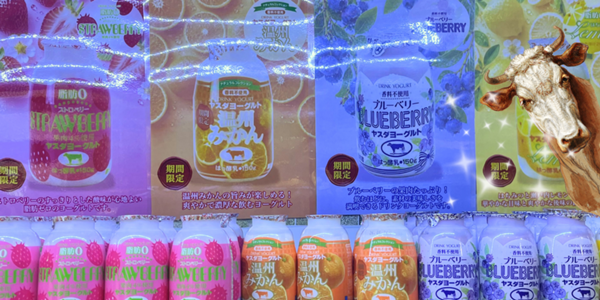 安田ヨーグルト各種.png