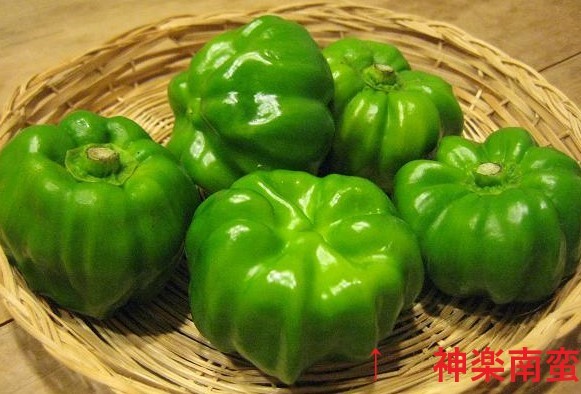 神楽南蛮-1.jpg