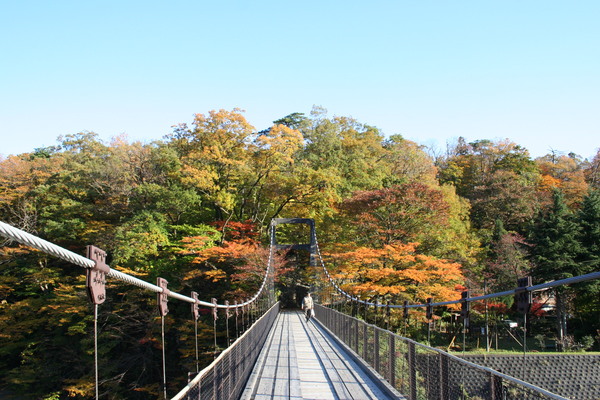 紅葉と鷹巣吊り橋.JPG