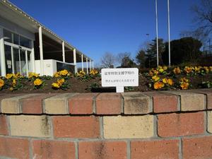富里特別支援学校花壇.jpg
