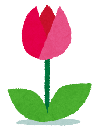 flower_tulip.png