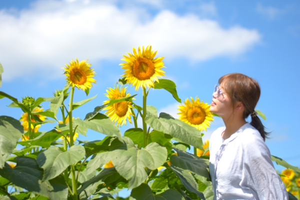 成田ゆめ牧場 お姉さん一人.png