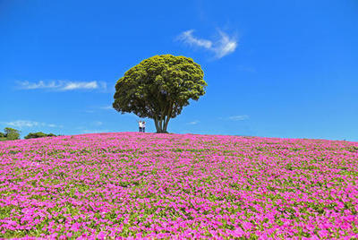 桃色吐息 (1).jpg