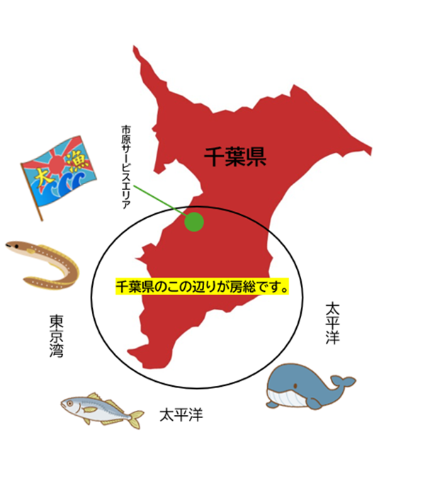 千葉県画像.png