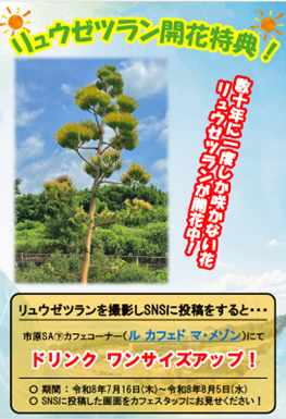 画像.png