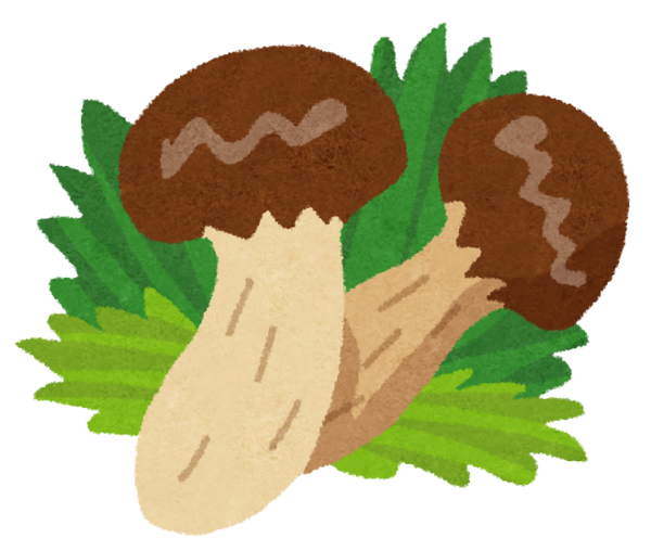 matsutake.png
