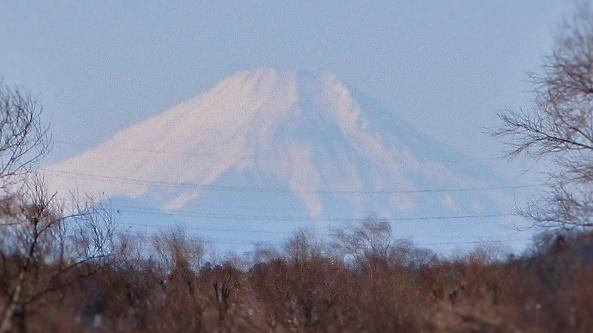 fuji.jpg