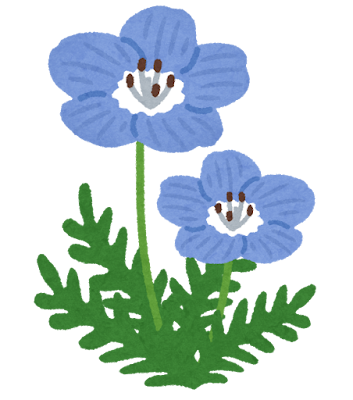 flower_nemophila.png