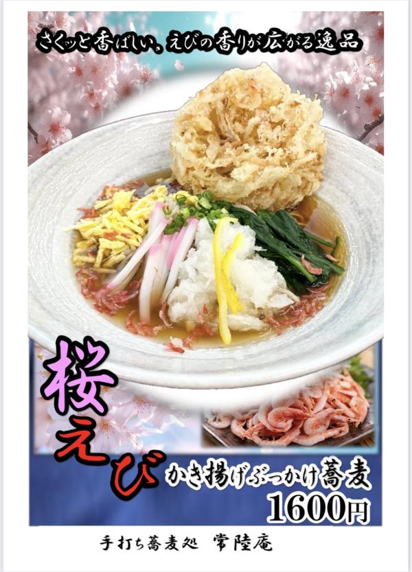 桜えびかき揚げぶっかけそば.jpg