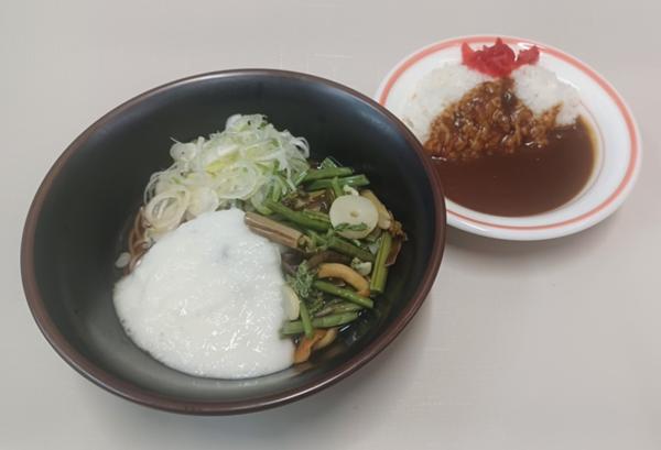 冷やし山菜とろろそば＆ミニカレー.jpg