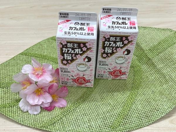 酪王カフェオレ桜.jpg