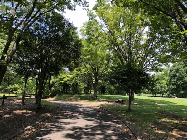 航空公園3.png
