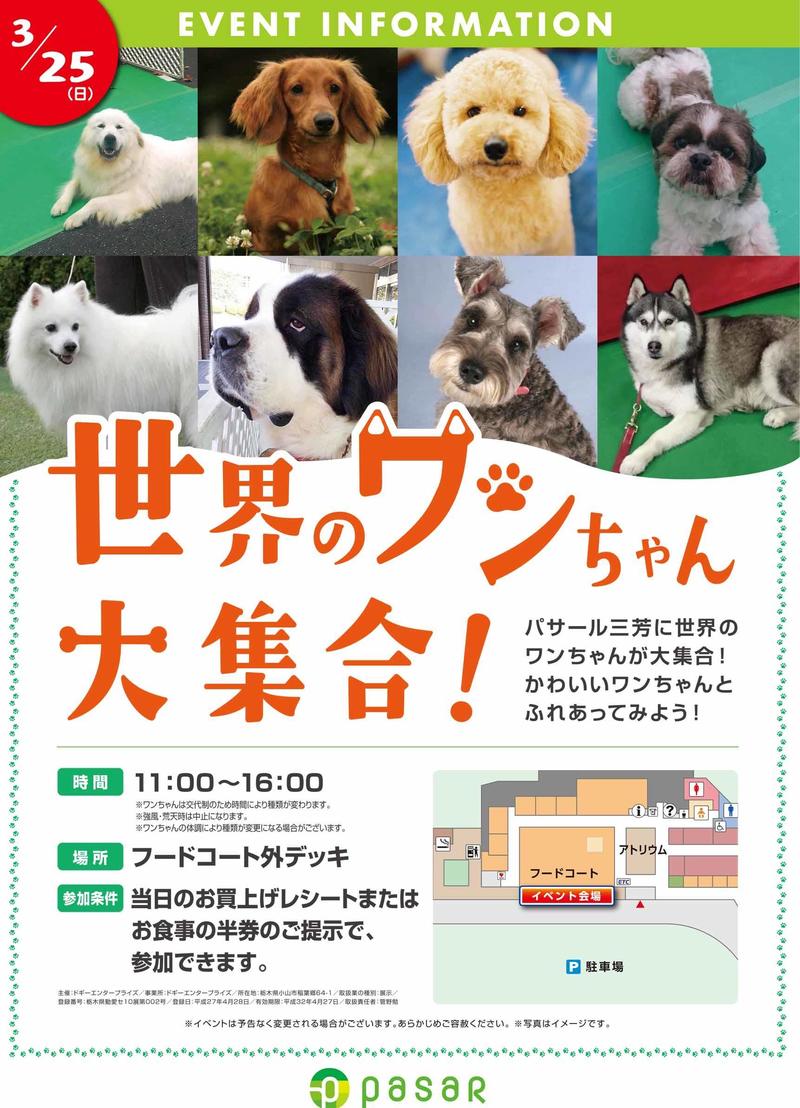 inu名称未設定 2.jpg