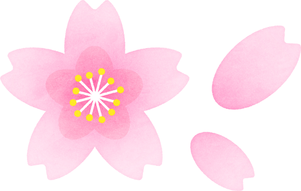 桜.png