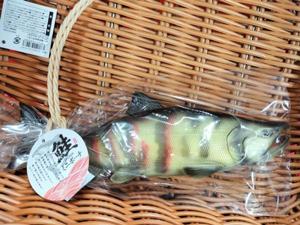 IMG20250528213202 (1).jpg