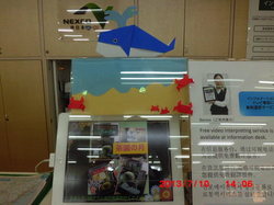 CIMG0960.JPGのサムネール画像