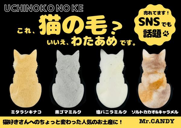 【UCHINOKO NO KE】高速道路SA用POP.jpg
