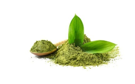 抹茶 (1).jpg