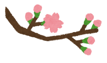 桜１ (2).png