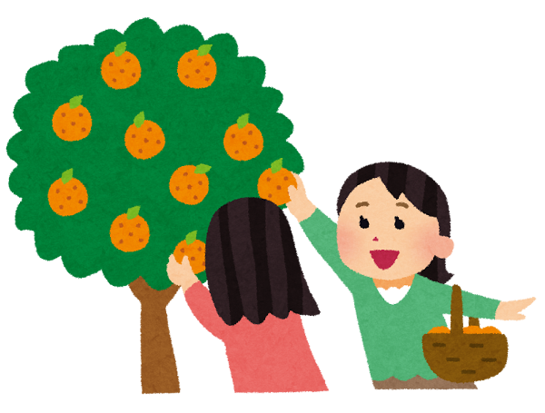 mikan_gari.png