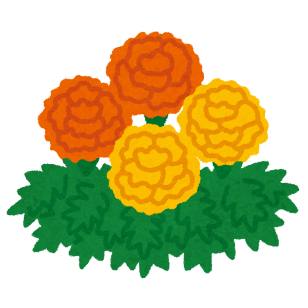 flower_marigold.png