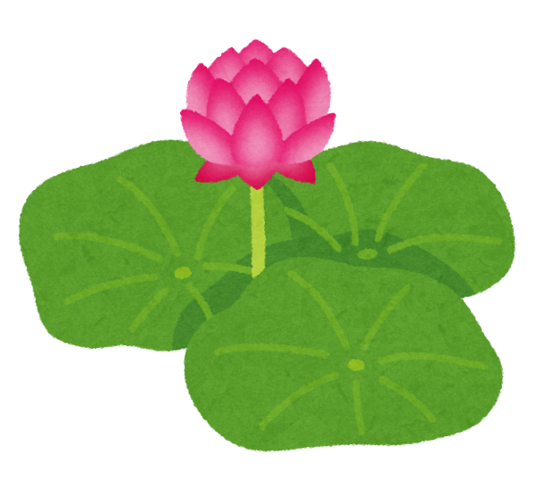 flower_hasu.png