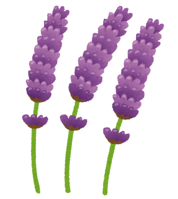 ラベンダー.png